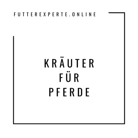 Kräuter für Pferde