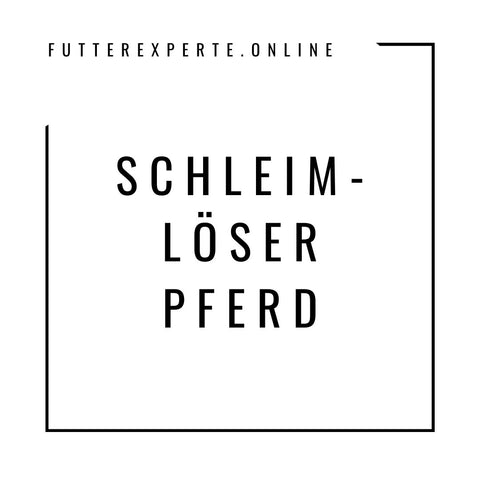 Schleimlöser Pferd