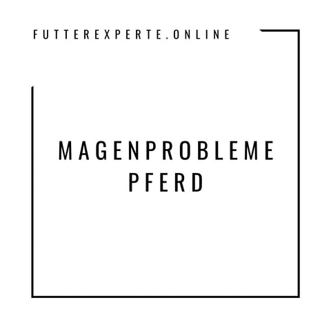 Magenprobleme Pferd