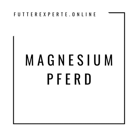 Magnesium Pferd