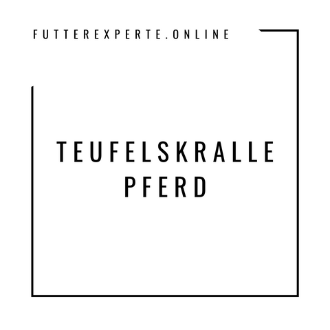 Teufelskralle Pferd