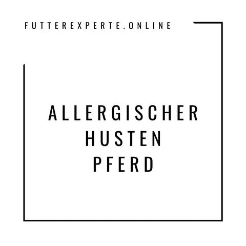 Allergischer Husten Pferd