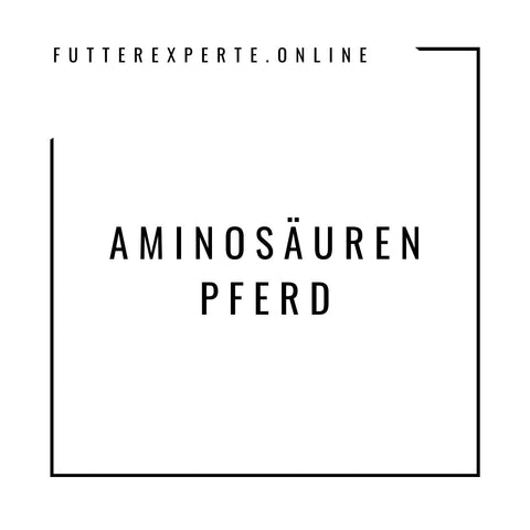 Aminosäuren Pferd