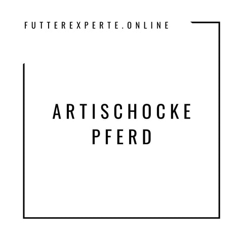 Artischocke Pferd