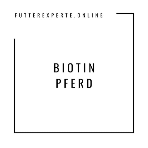 Biotin Pferd