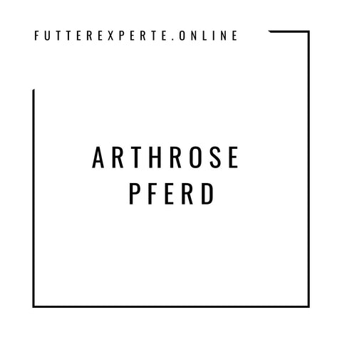 Arthrose Pferd