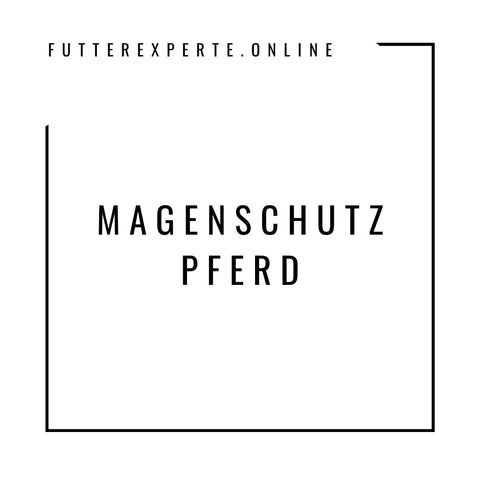 Magenschutz Pferd