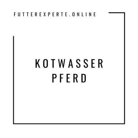 Kotwasser Pferd