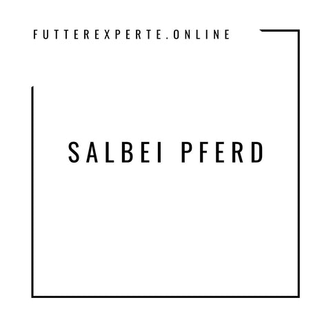 Salbei Pferd