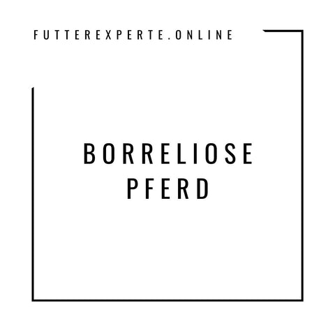 Borreliose Pferd