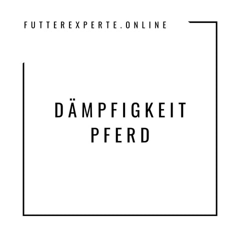 Dämpfigkeit Pferd