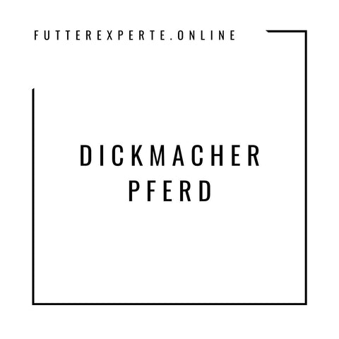 Dickmacher Pferd