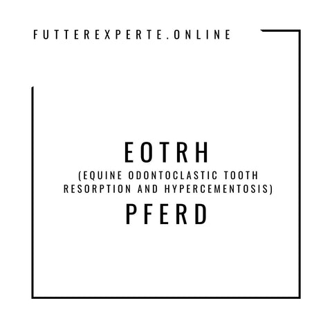 EOTRH Pferd