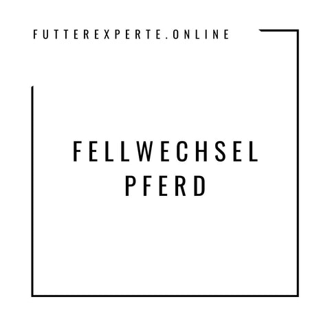 Fellwechsel Pferd