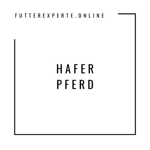 Hafer Pferd