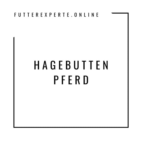 Hagebutten Pferd