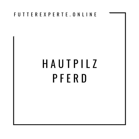 Hautpilz Pferd