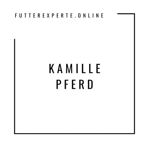 Kamille Pferd