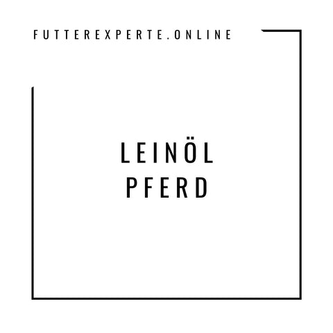 Leinöl Pferd