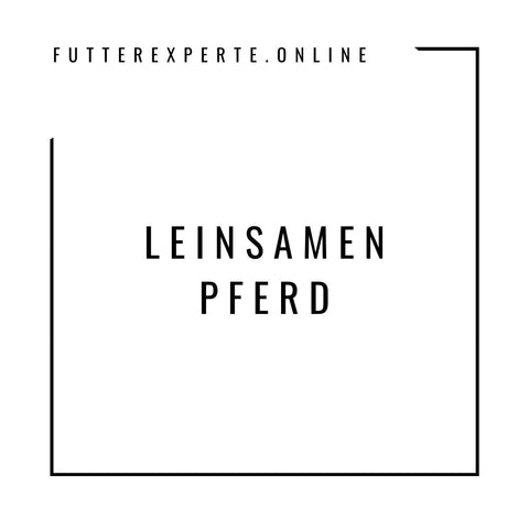 Leinsamen Pferd