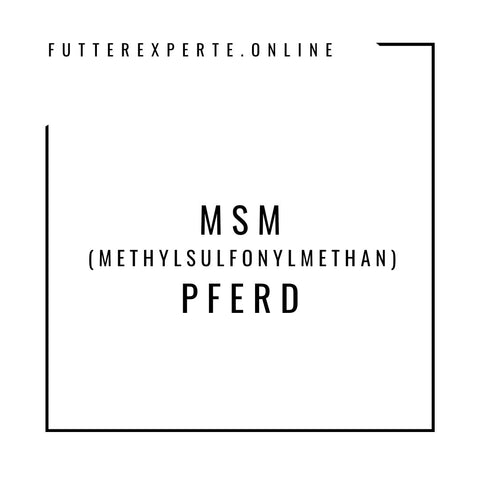 MSM Pferd