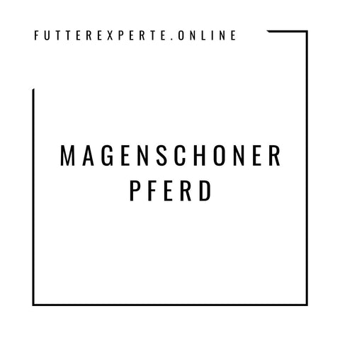 Magenschoner Pferd