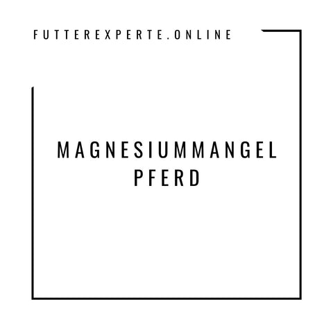 Magnesiummangel Pferd