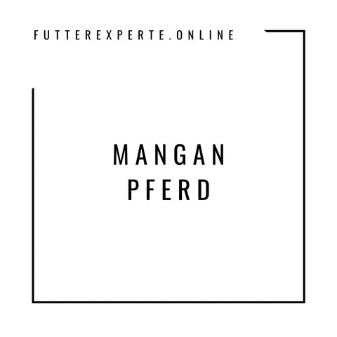 Mangan Pferd