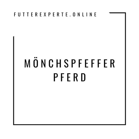 Mönchspfeffer Pferd