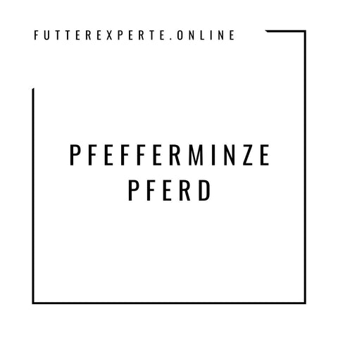 Pfefferminze Pferd