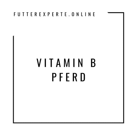 Vitamin B Pferd