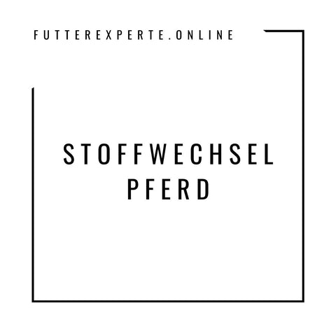 Stoffwechsel Pferd