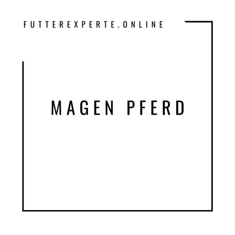 Magen Pferd