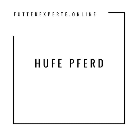 Hufe Pferd