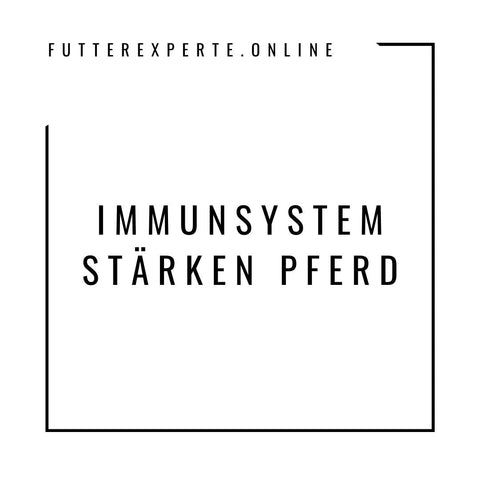 Immunsystem stärken Pferd