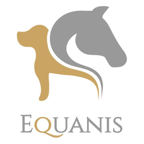 Equanis